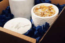 Load image into Gallery viewer, GAIA x LIQUID SUNSHINE